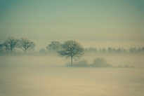 Winter Fog by Daniel Vesterskov