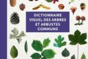 Dictionnaire visuel arbres arbustes