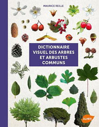 Dictionnaire visuel arbres arbustes