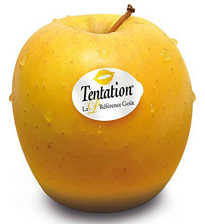 Pomme tentation