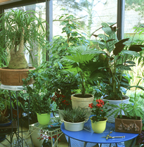 Veranda Mioulane MAP NPM GIP0093081
