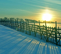 Paysage Hiver Soleil