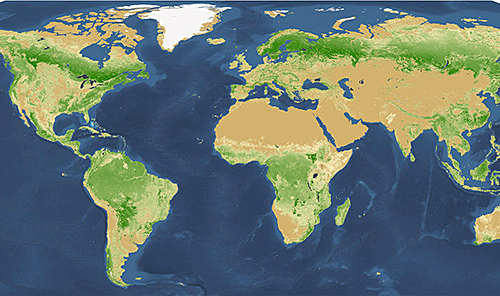 Carte Arbres Monde