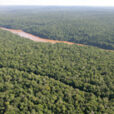 Foret Amazonie Mioulane MAP NPM 84937352