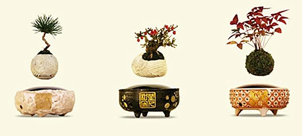 Bonsai Levitation Collection