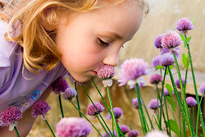Enfant Parfum Fleur Allium Flora