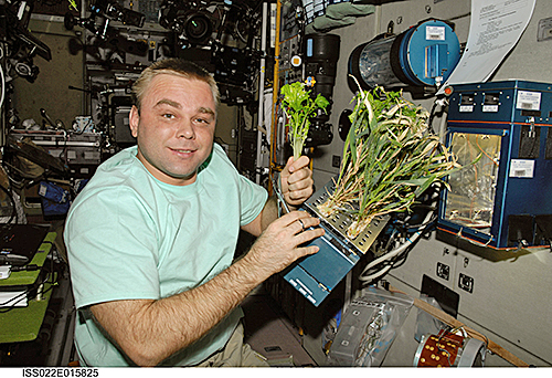 Cosmonaute suraev Salade ISS Nasa