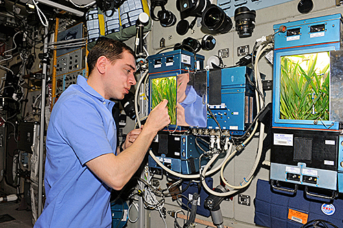 Veggie ISS Nasa