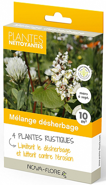 Plantes nettoyantes Nova Flore