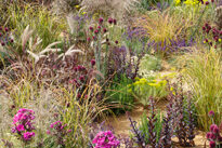 Jardin naturel Mioulane MAP NPM 719513465