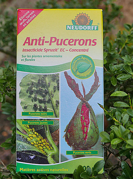 Packaging Antipucerons Neudorff NewsJardinTV P1040368