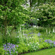 Jardin Nature Mioulane MAP NPM 84919064