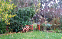 Pluie Jardin Flora