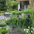 Jardin domestique Mioulane MAP NPM 850312532