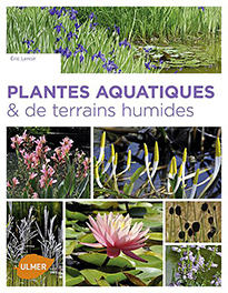 Plantes aquatiques
