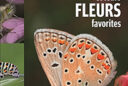 papillons et leurs fleurs