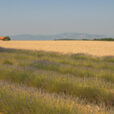 Campagne champ maison Mioulane NewsJardinTV