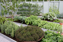 Potager Verger Mioulane MAP NPM 84969656