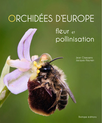 orchidees d europe fleur et pollinisation