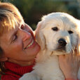 Femme Nicole Golden Retriever Chiot Mioulane NewsJardinTC 7194352