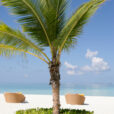 Maldives Cocotier Mioulane MAP NPM 2307515394