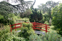 Pont japonais Mioulane MAP NPM 850320671