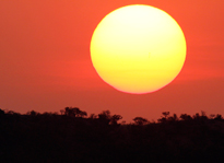 Soleil Coucher Savane. Mioulane MAP NPM 2307511576