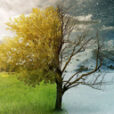 summer and winter