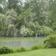 Jardin Pluie Mioulane MAP NPM 2307512987