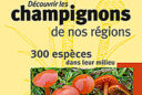 Reconnaitre Champignons