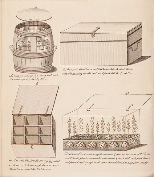 Transport Plantes John Ellis 1770