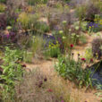 Jardin Sauvage Mioulane MAP NPM 719514061