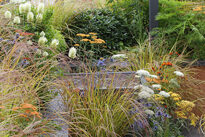 Jardin sauvage Mioulane MAP NPM 850475112