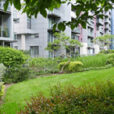 Jardin urbain Mioulane MAP NPM 2307513859