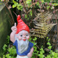 Nain Jardin Mioulane MP NPM 090312202