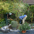 Plantation Masif Arbuste Mioulane MAP NPM 090312515