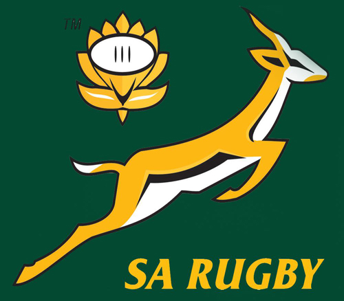 Protea Springbok