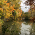 Jardin Automne Souloire Mioulane NewsJardinTV IMG 1081