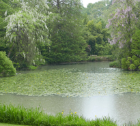 Jardin Pluie Nuphar Glycine Souloire Mioulane MAP NPM 2307512980