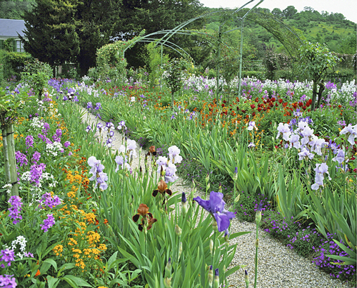 Giverny Iris MAP GIP0101322