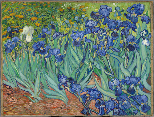 Iris Vincent van Gogh