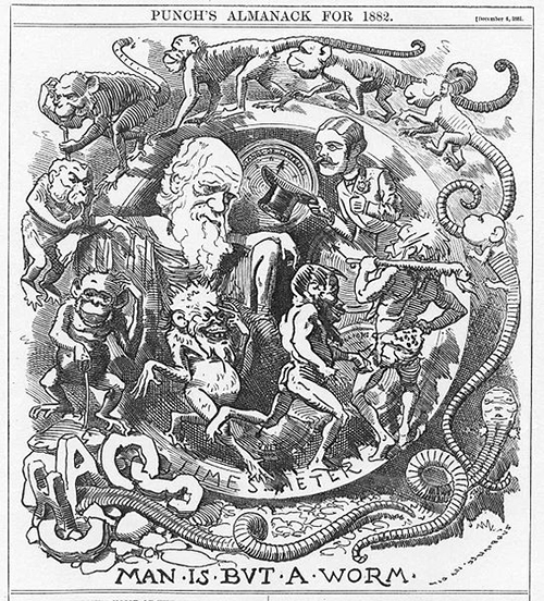 Darwin Vers Caricature
