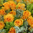 Bouquet Roses Mioulane MAP 0002618