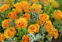 Bouquet Roses Mioulane MAP 0002618