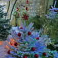Noel Jardin Mioulane MAP NPM 2307518200