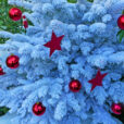 Sapin Noel Mioulane MAP NPM 2307518207