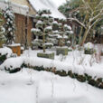 Hiver Neige Jardin Mioulane MAP NPM 914378208
