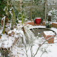 Jardin Hiver Neige Mioulane NewsJardinTV NPM 850369056