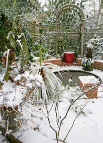 Jardin Hiver Neige Mioulane NewsJardinTV NPM 850369056