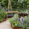 Jardin Potager Mioulane NewsJardinTV P1100445